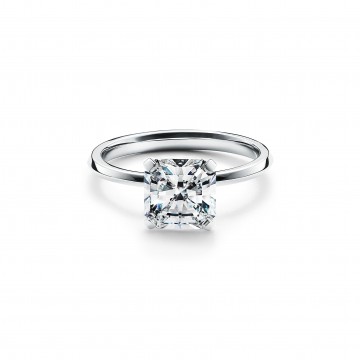 Mountain fox notebook